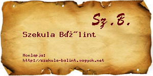 Szekula Bálint névjegykártya