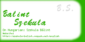 balint szekula business card